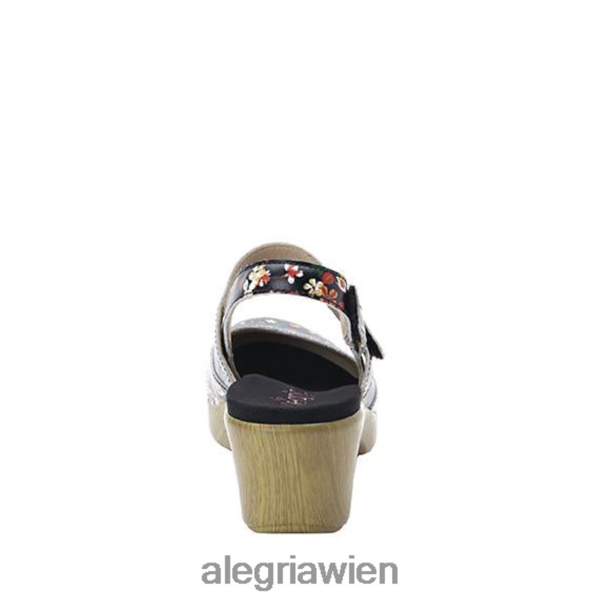 Alegria Wien - Alegria Tarah verwandter Schuh D2R0BH505