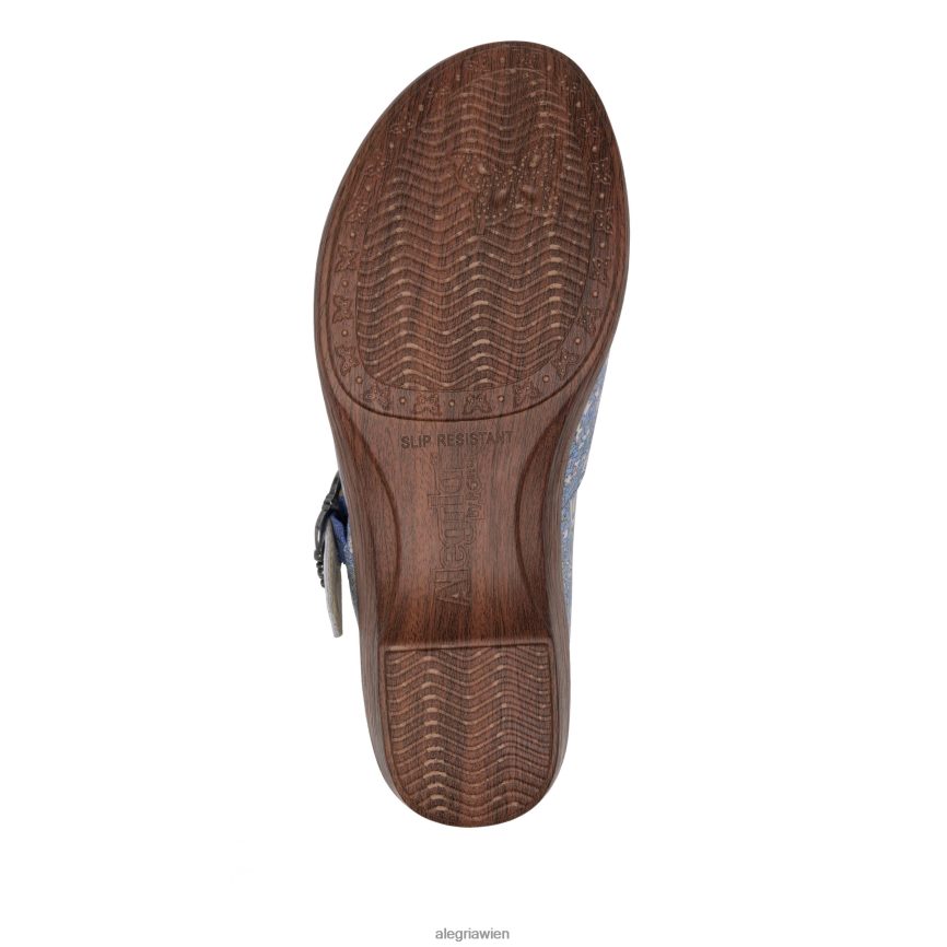 Alegria Shoes - Alegria Selina Smooth Jazzschuh D2R0BH293