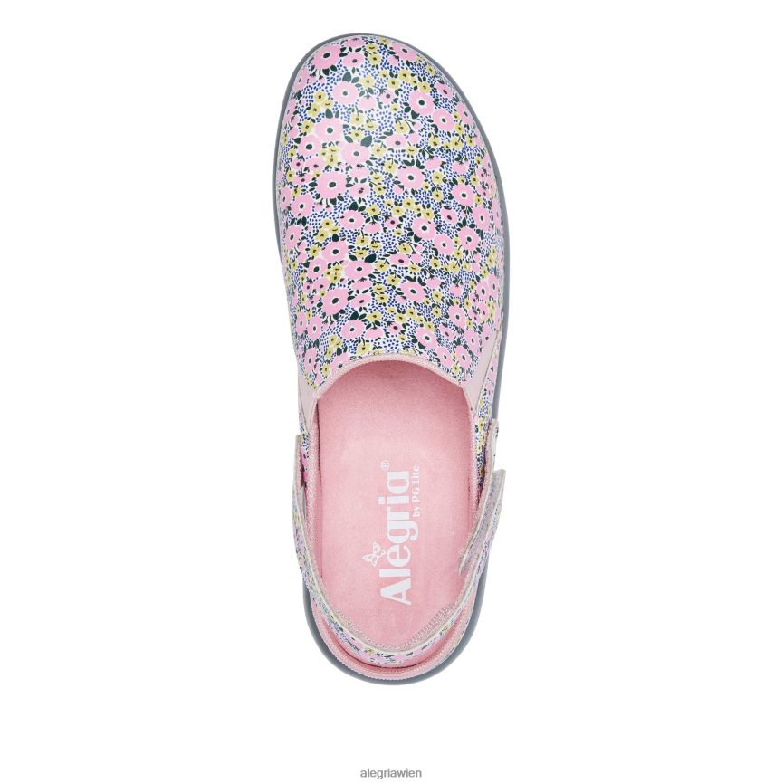 Alegria Wien - Alegria Skillz einfach unwiderstehlicher Schuh D2R0BH316