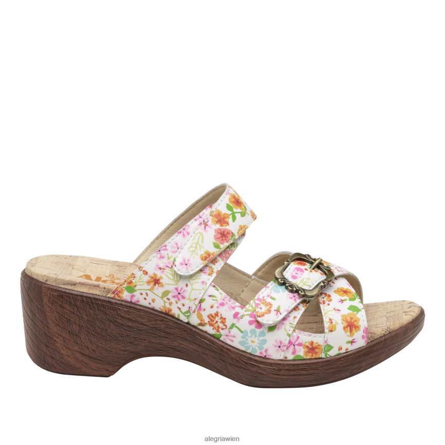 Alegria Shoes - Alegria Sierra Prime Time Sandale D2R0BH218