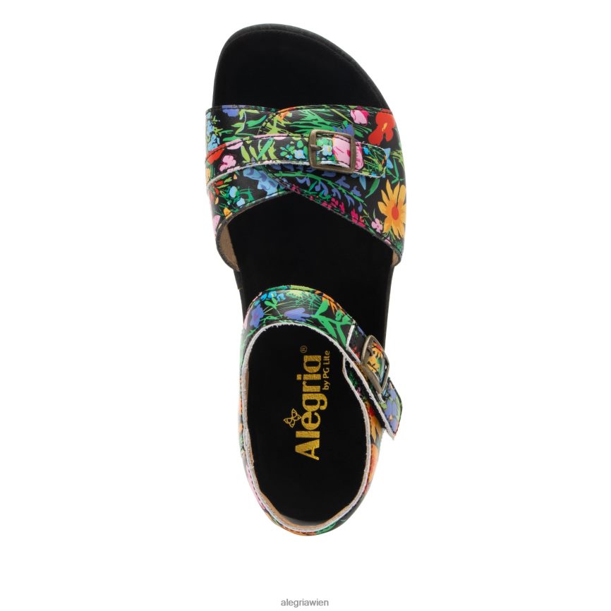 Alegria Wien - Alegria Maryn Sweet Emotions Sandale D2R0BH205