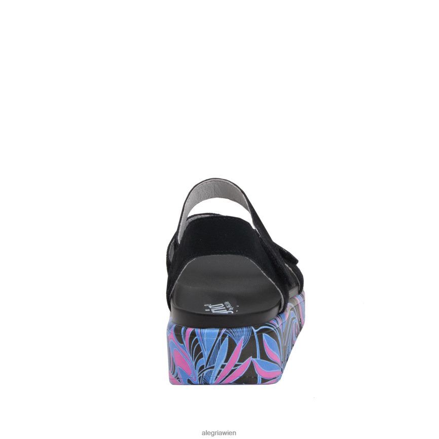 Alegria Shoes - Alegria Ana, ich habe dir eine schwarze Sandale besorgt D2R0BH104