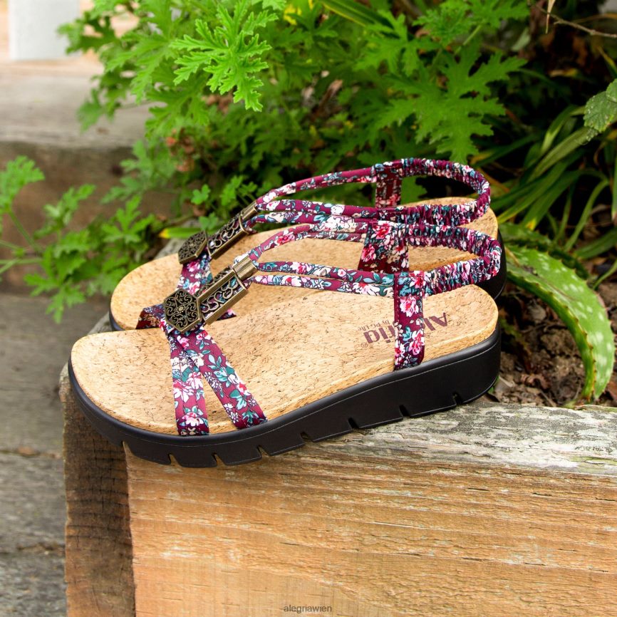 Alegria Wien - Alegria Roz Charm Weinsandale D2R0BH91