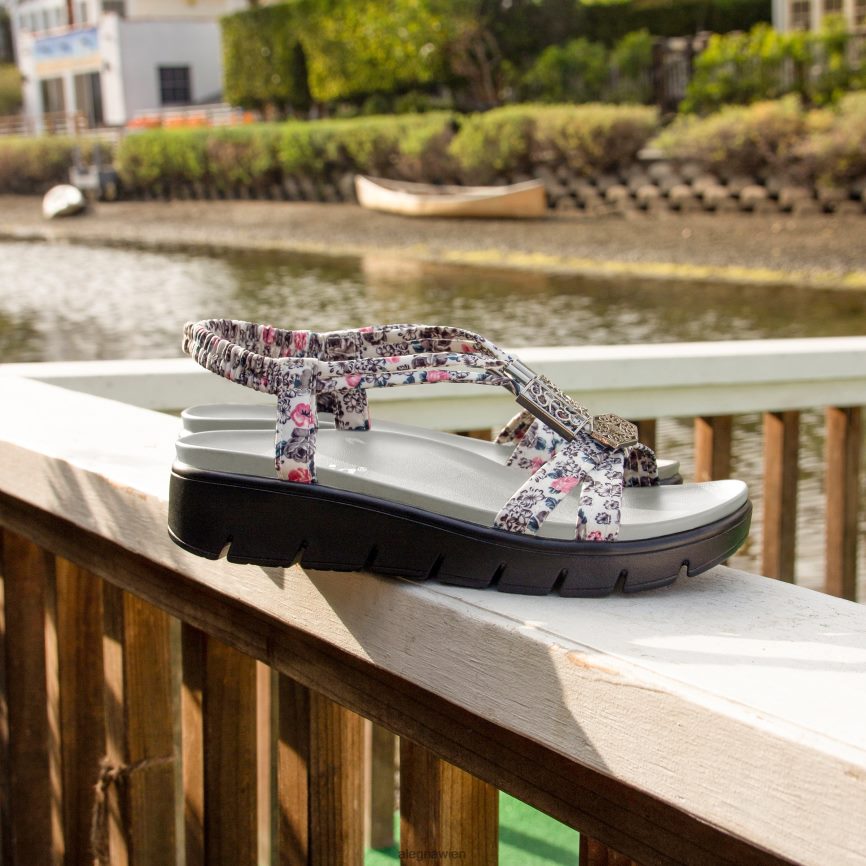 Alegria Wien - Alegria Roz schöne graue Sandale D2R0BH94