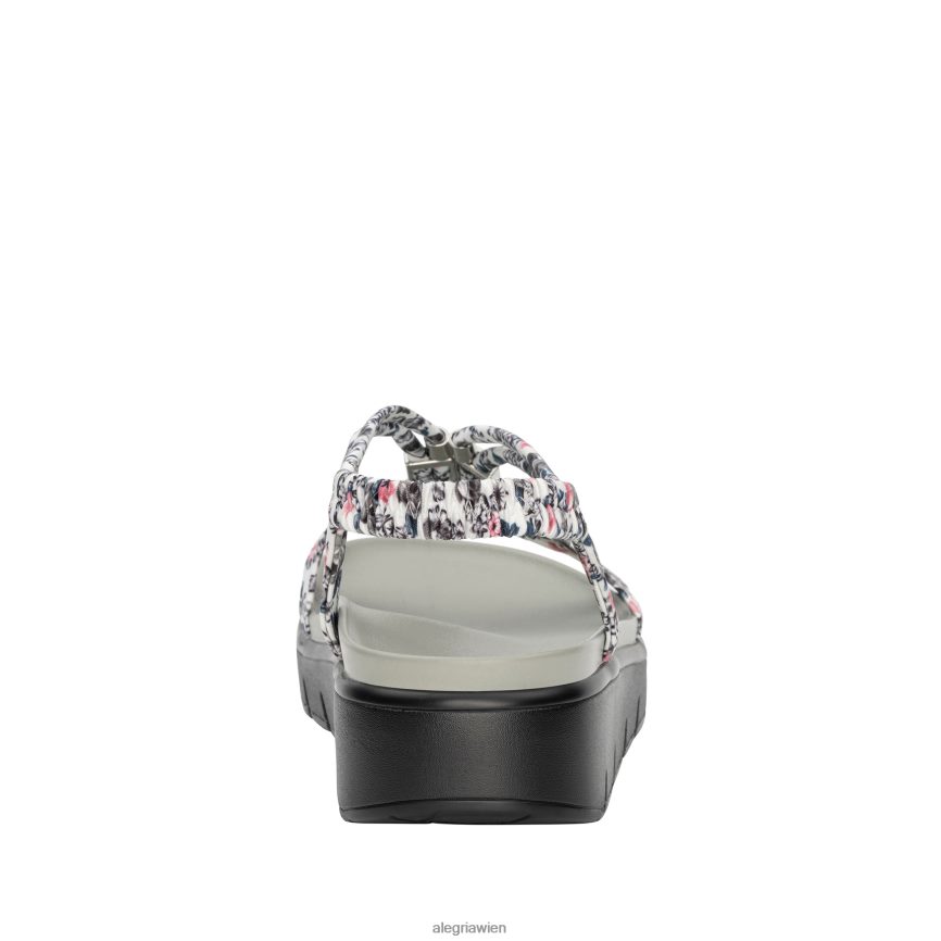 Alegria Wien - Alegria Roz schöne graue Sandale D2R0BH94