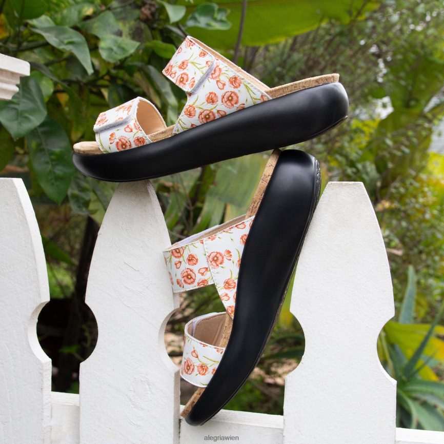 Alegria Schuhe Österreich - Alegria Bryce Poppy Pop Sandale D2R0BH141