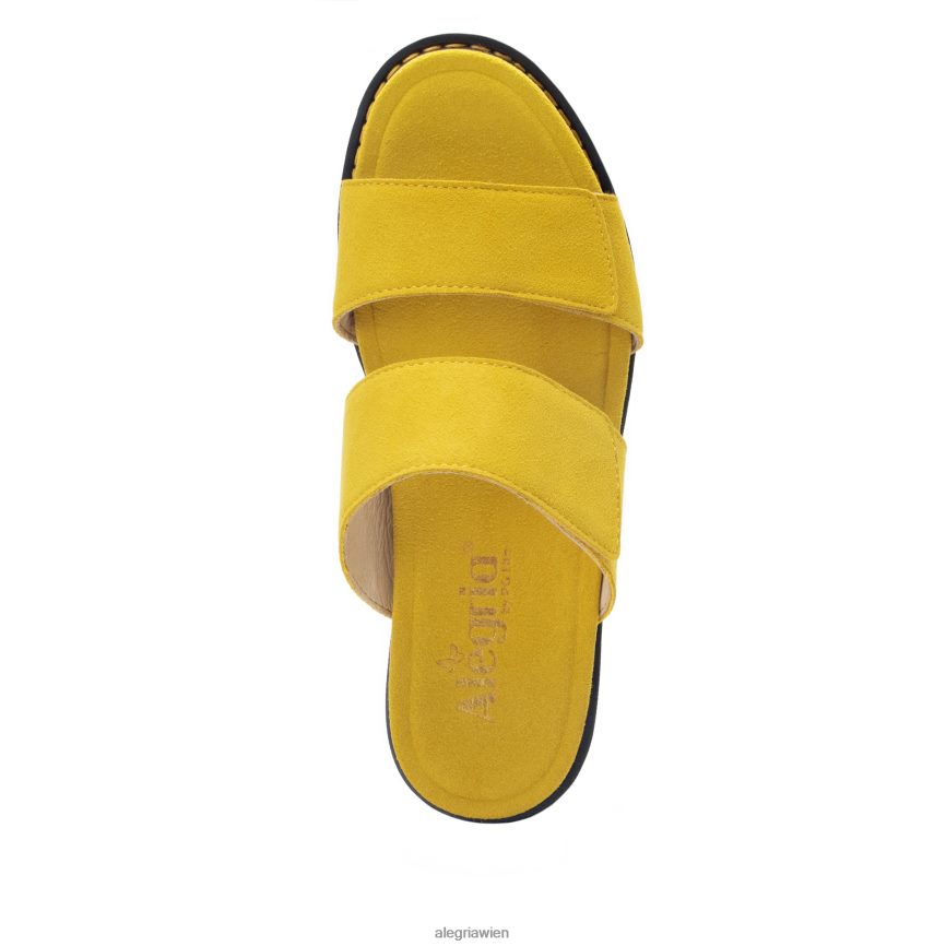 Alegria Wien - Alegria Tia Safran-Sandale D2R0BH163