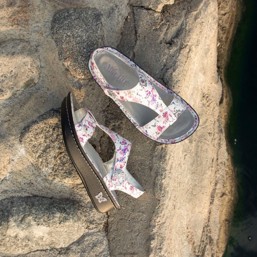 Alegria Schuhe Österreich - Alegria Kerri Looker Sandale D2R0BH60