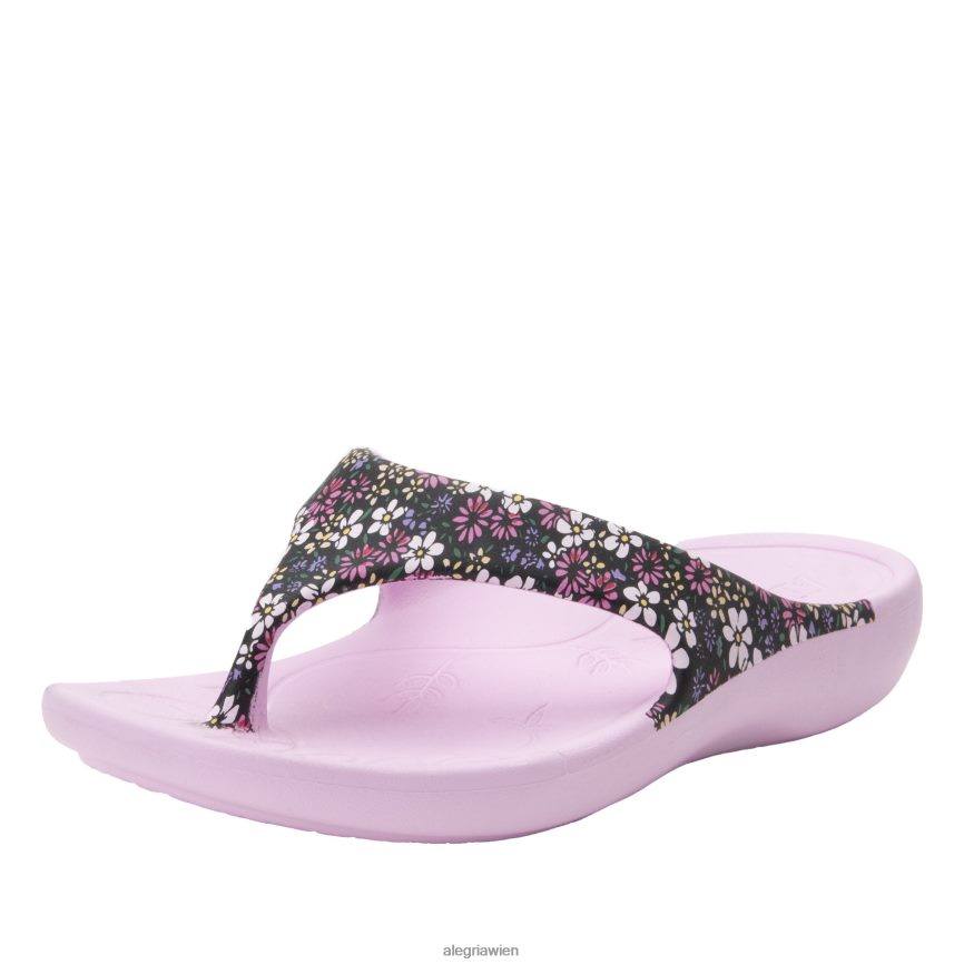 Alegria Schuhe Österreich - Alegria Ode Wildblumen-Sandale D2R0BH39