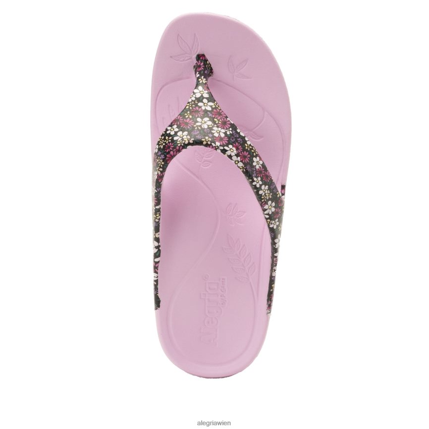 Alegria Schuhe Österreich - Alegria Ode Wildblumen-Sandale D2R0BH39
