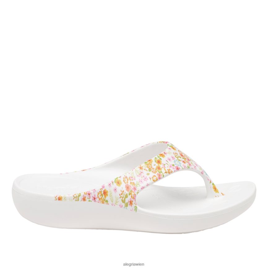 Alegria Shoes - Alegria Ode Prime Time Sandale D2R0BH29