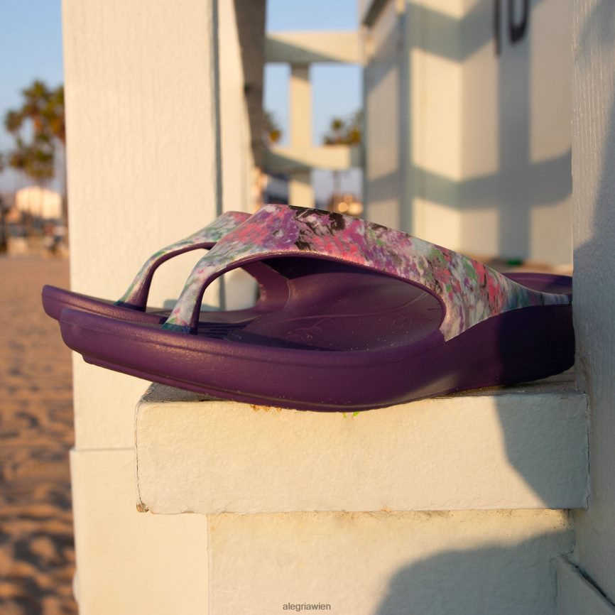 Alegria Wien - Alegria Ode Itchycoo graue Sandale D2R0BH25