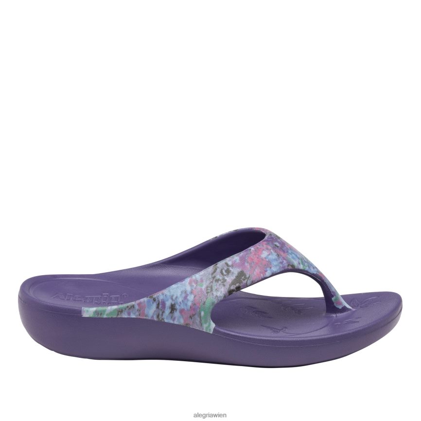 Alegria Wien - Alegria Ode Itchycoo graue Sandale D2R0BH25