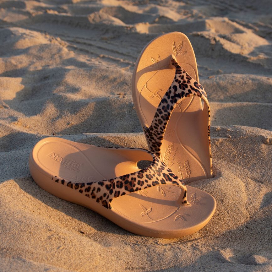 Alegria Wien - Alegria Ode heftige Sandale D2R0BH28