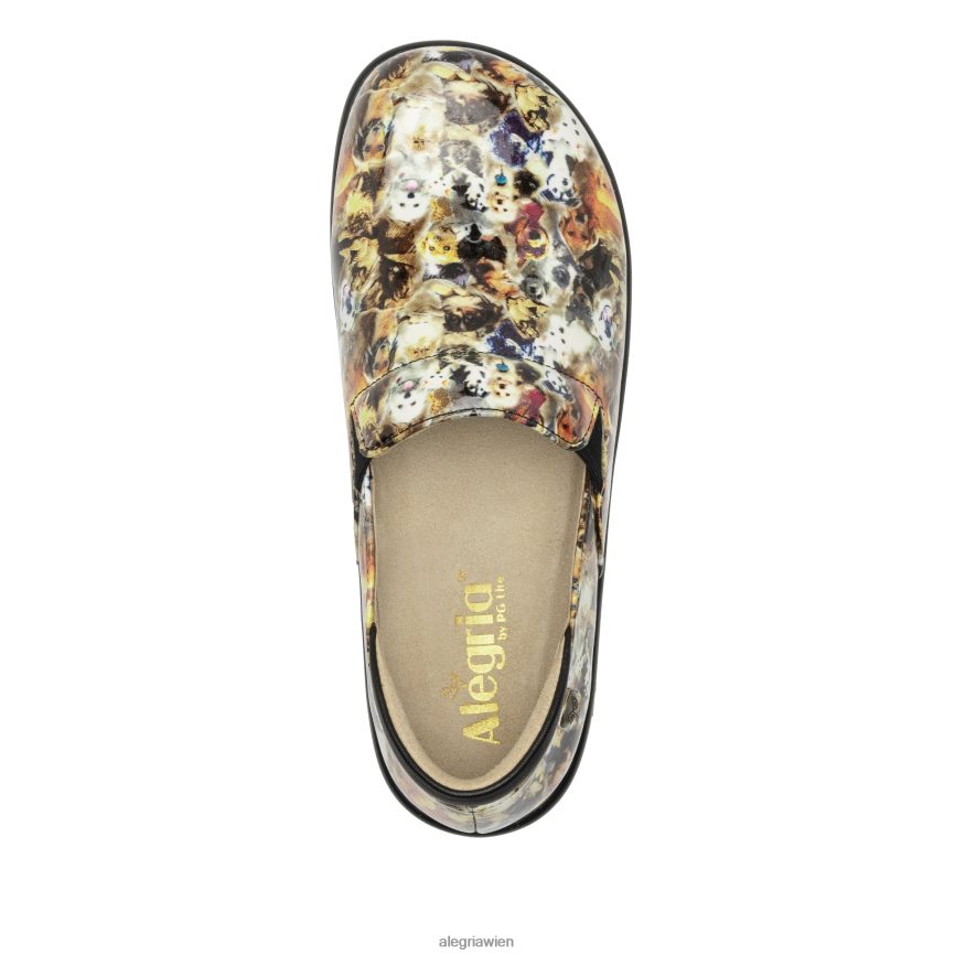 Alegria Wien - Alegria Keli scharrt den Profischuh hoch D2R0BH418