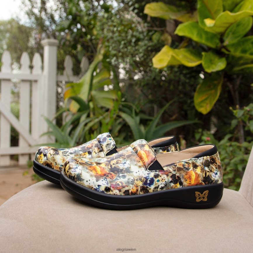 Alegria Wien - Alegria Keli scharrt den Profischuh hoch D2R0BH418